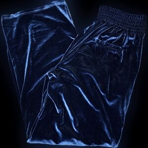 Suzanne Betro Velour Emerald Blue Pallazo Pants Elastic Waist Wide Leg 1x